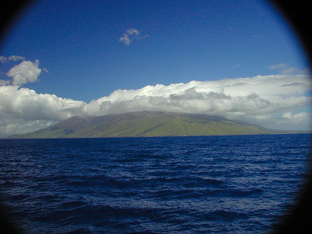 Click to see next picture