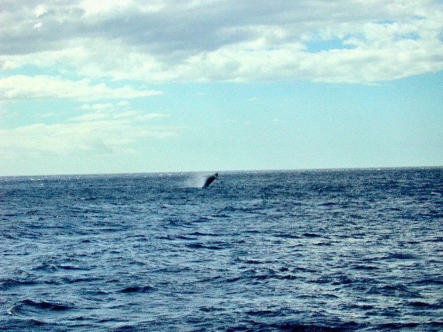 Click to see next picture