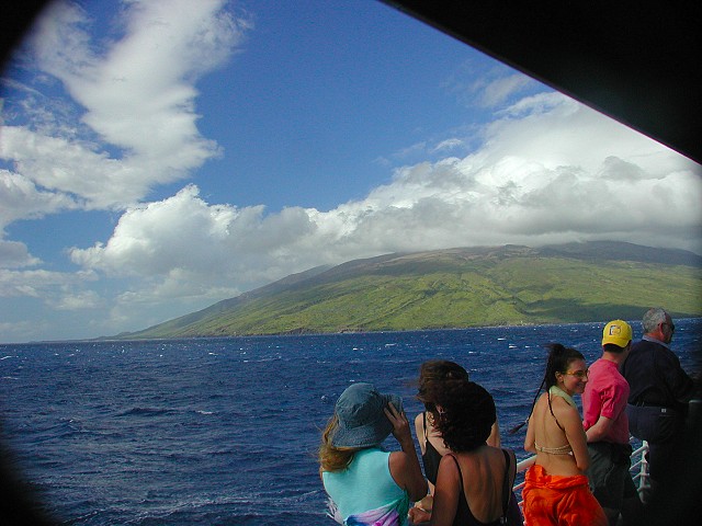 Click to see next picture