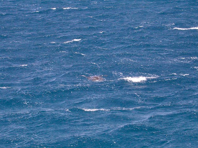 Click to see next picture