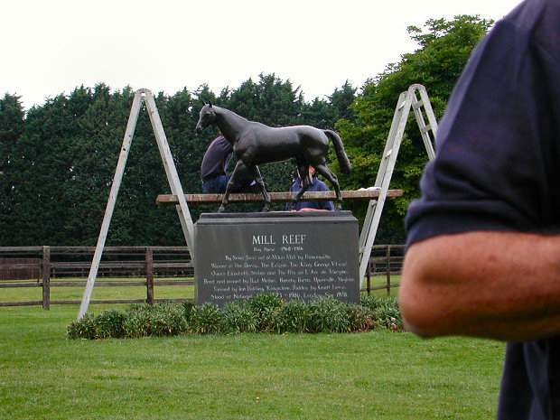 Click to see next picture