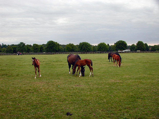 Click to see next picture